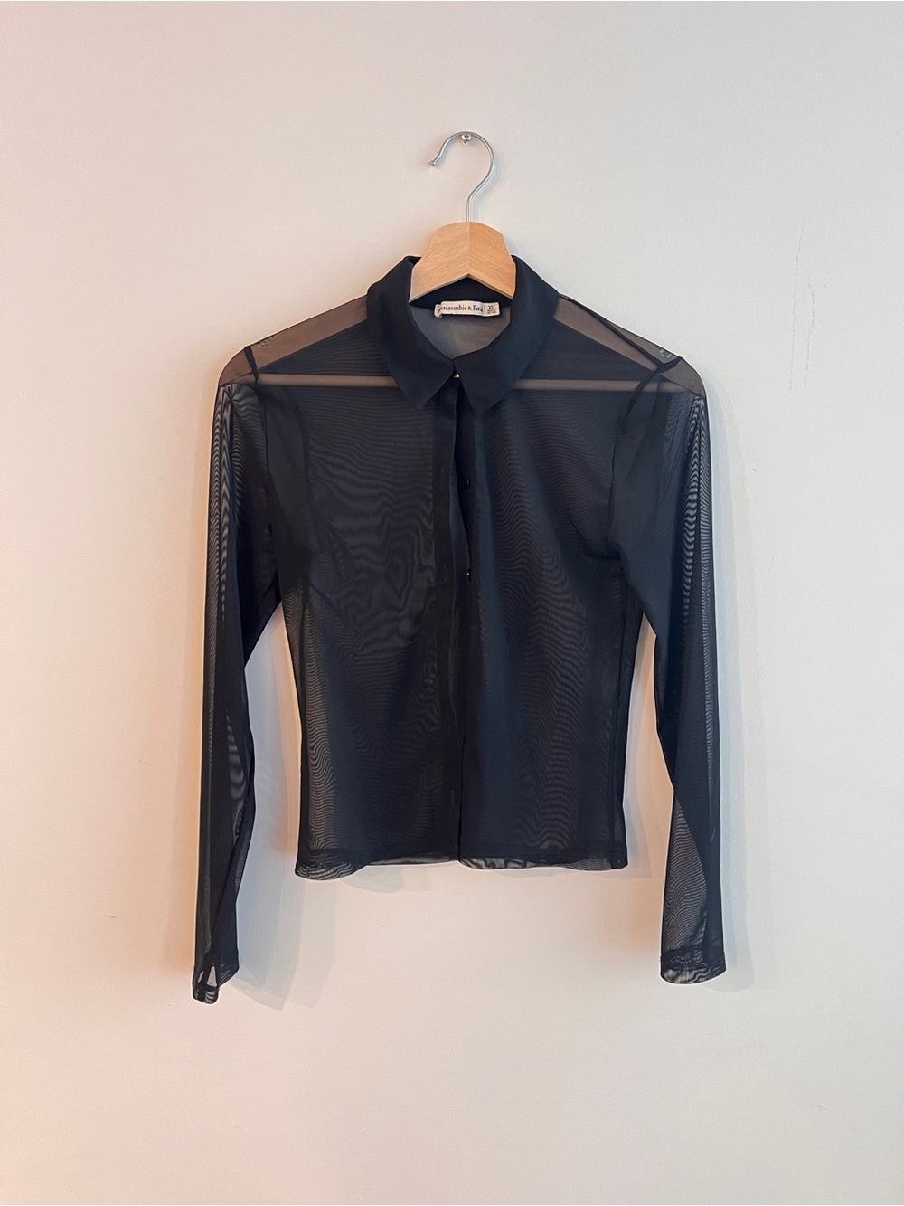 Abercrombie & Fitch Sheer Black Button-Up Blouse - Picture 1 of 2